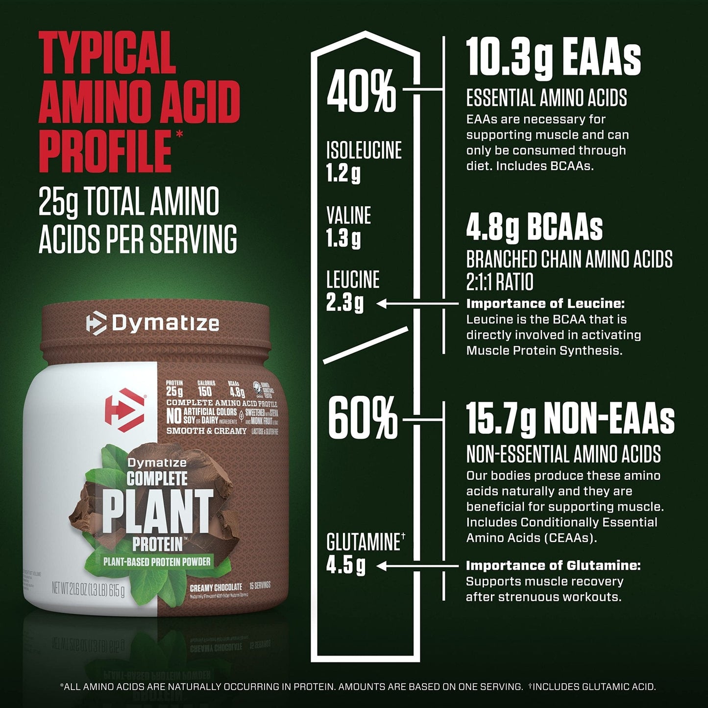 Dymatize Vegan Plant Protein, Creamy Chocolate, 25g Protein, 4.8g BCAAs, Complete - Maple Wellness Supplements