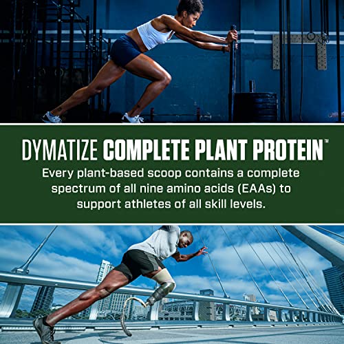 Dymatize Vegan Plant Protein, Smooth Vanilla, 25g Protein, 4.8g BCAAs, Complete - Maple Wellness Supplements