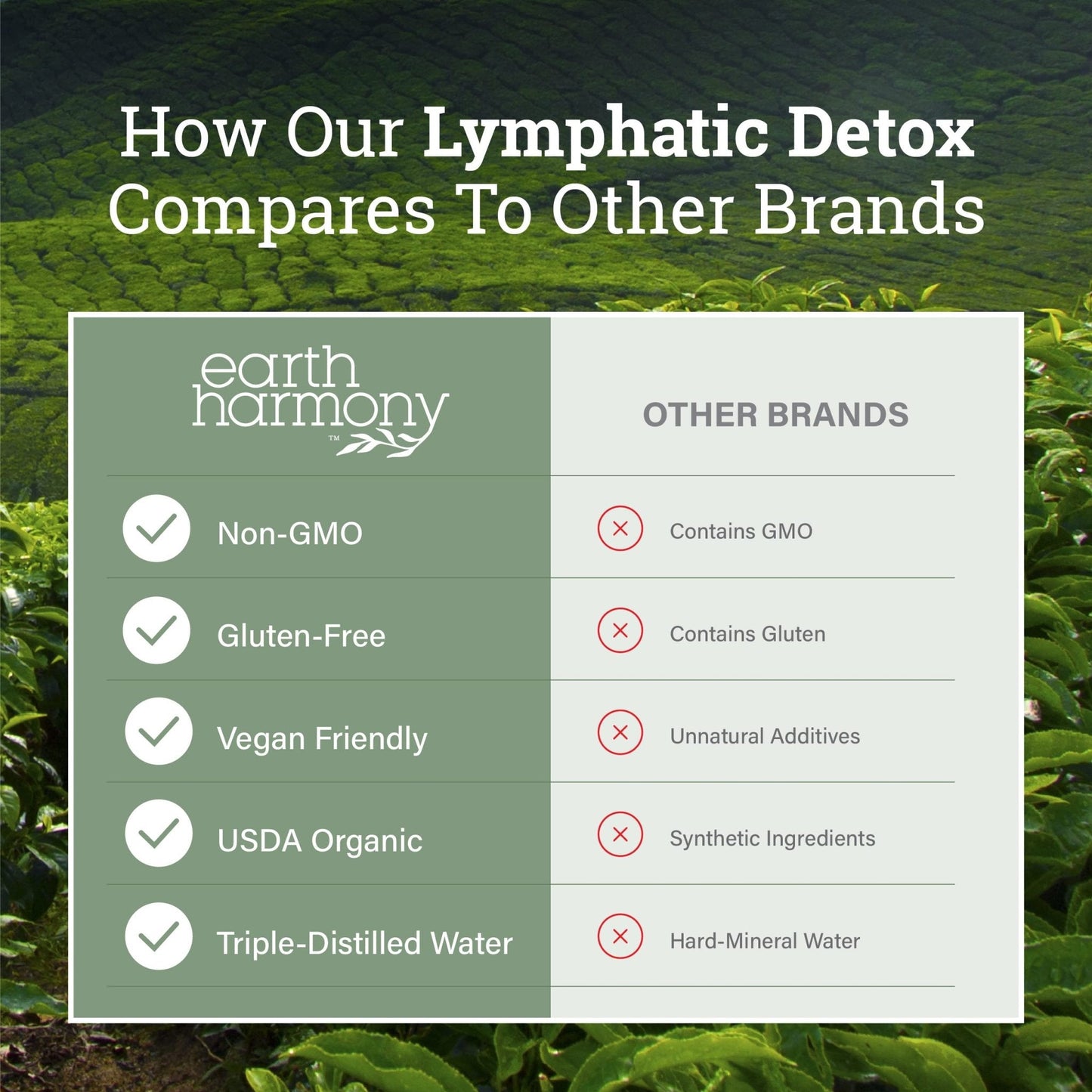 Earth Harmony Lymphatic Drainage Drops, Lymph Detox - Supplement with Soursop, Cat's Claw Bark, Astragalus, Wormwood, Lymph Node Detox, Lymphatic Support Cleanse (2 Oz) - Maple Wellness Supplements