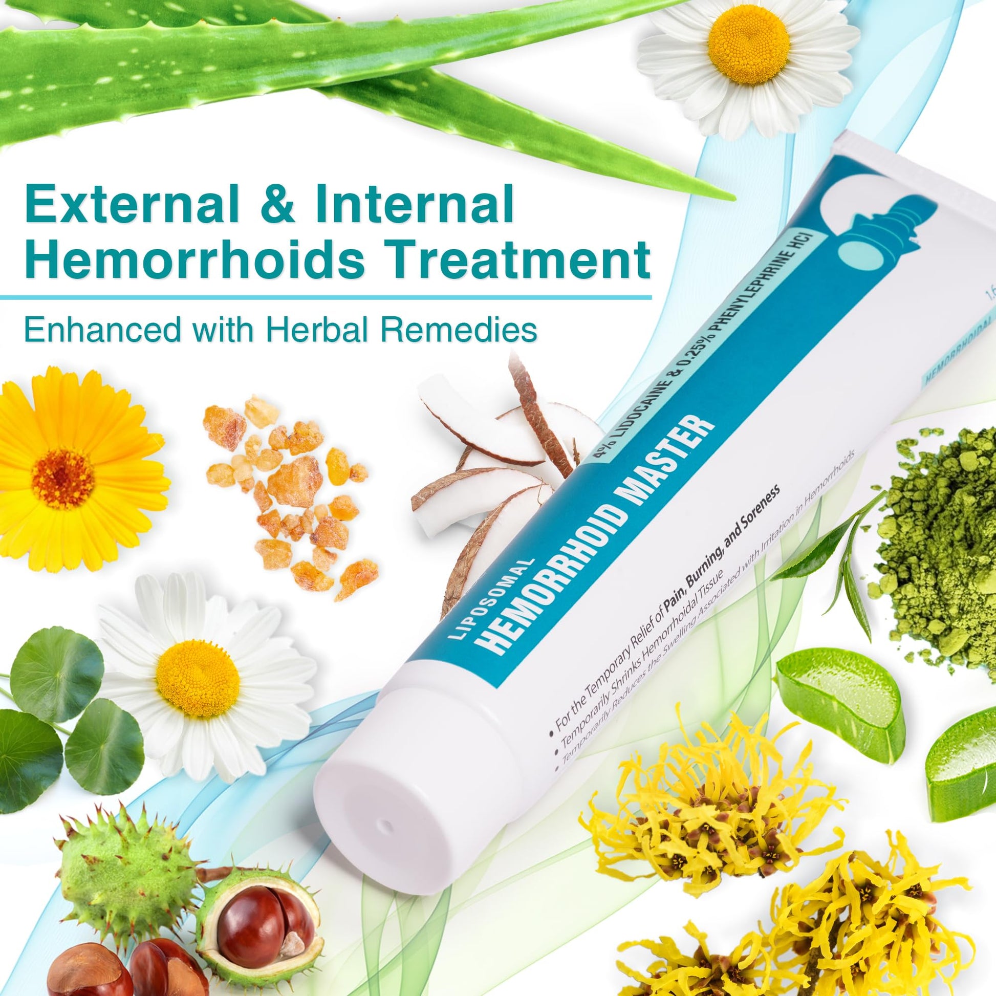 Ebanel 4% Lidocaine Hemorrhoid Treatment Ointment with Phenylephrine, Witch Hazel, Vitamin B6, Zinc Oxide, Frankincense, External and Internal Hemorrhoids Treatment Burn Itch Pain Relief Anal Cream - Maple Wellness Supplements