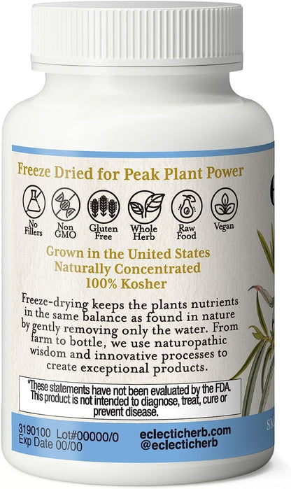 Eclectic Institute Raw Fresh Freeze-Dried Non-GMO White Willow - Feverfew | Support Body's Response to Occasional Pain | 90 CT (350 mg) - Maple Wellness Supplements