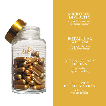 ed&i Gut Within Prebiotic & Probiotic Supplement - Digestive Probiotics for Women, Probiotics for Women Bloating, Digestive Support, Women’s Gut Health - Maple Wellness Supplements
