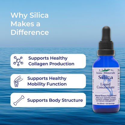 Eidon Liquid Silica Mineral Concentrate - Silica Supplement for Hair, Skin, and Nails, Supplement Drops to Support Collagen Production & Hair Loss - Maple Wellness Supplements