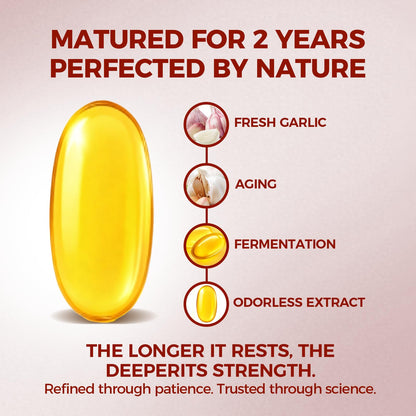 ELARE Aged Garlic Extract Capsules, Odorless Garlic 15:1 Extract Formula - 600 Count, Garlic Supplement, 2-Year Matured - Maple Wellness Supplements