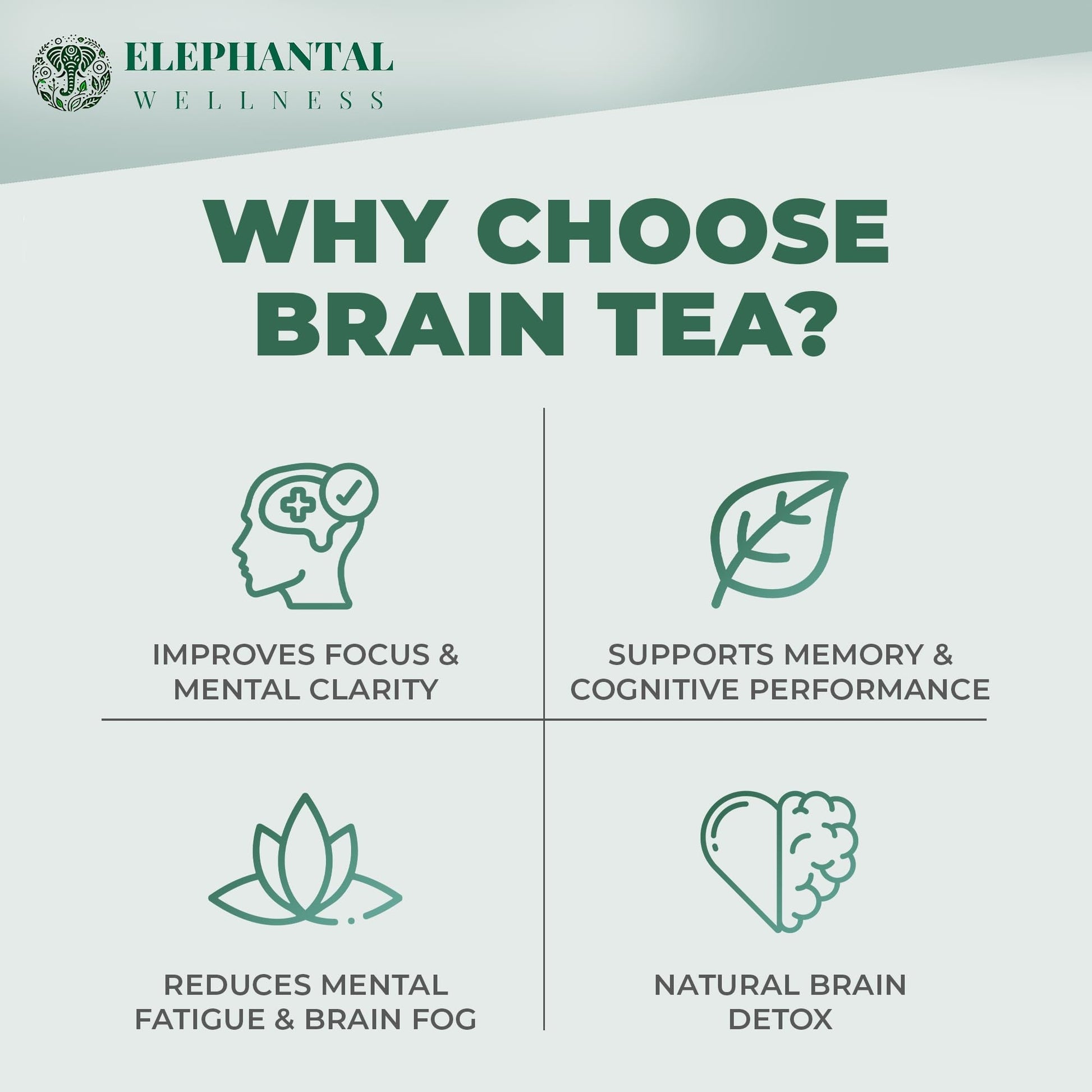 Elephantal Wellness Premium Brain Herbal Tea | Nootropic Focus & Mental Clarity with Ginkgo, Bacopa, Gotu Kola & Rosemary | Non-GMO, Caffeine-Free Coffee Alternative, Handmade Loose Leaf Blend, 2oz Loose Leaf, 20 Servings - Maple Wellness Supplements
