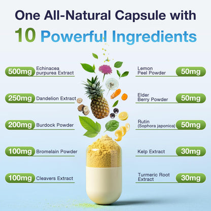 ELERULE Lymphatic Support Supplement, Lymphatic Drainage Supplements with with Dandelion, Burdock, Echinacea, Lemon & More, Lymph System Support for Men and Women – 60 Capsules - Maple Wellness Supplements