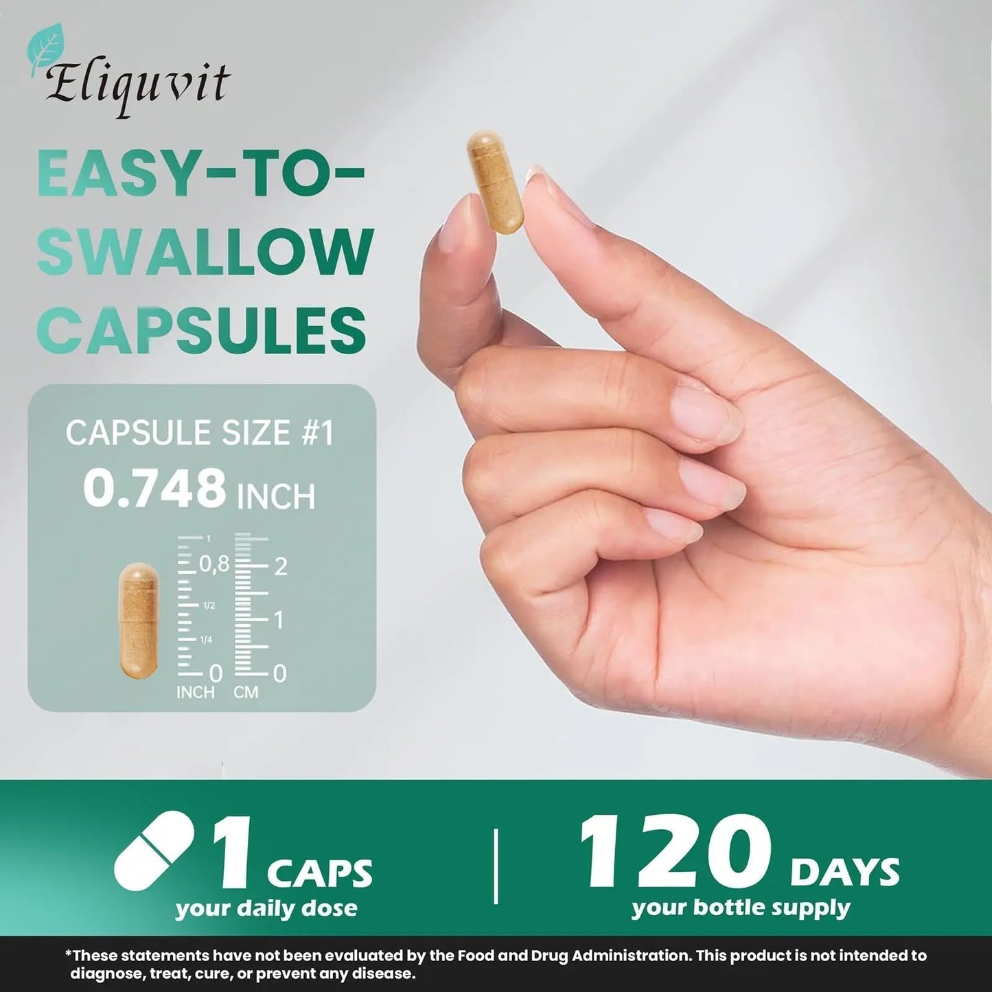 Eliquvit Methylated Multivitamin for Men & Women - Methylated B Complex with Methylfolate & B12-9-in-1 MTHFR Support + TMG - Vegan Multivitamin - Maple Wellness Supplements