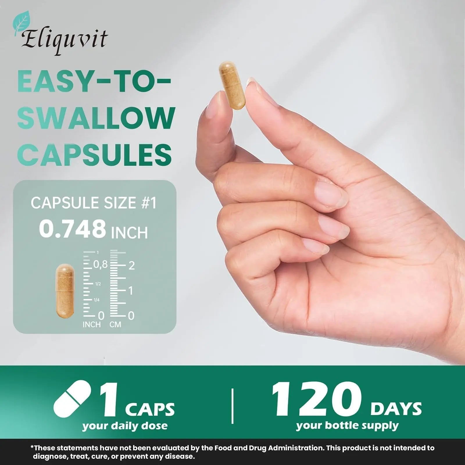 Eliquvit Methylated Multivitamin for Men & Women - Methylated B Complex with Methylfolate & B12-9-in-1 MTHFR Support + TMG - Vegan Multivitamin - Maple Wellness Supplements