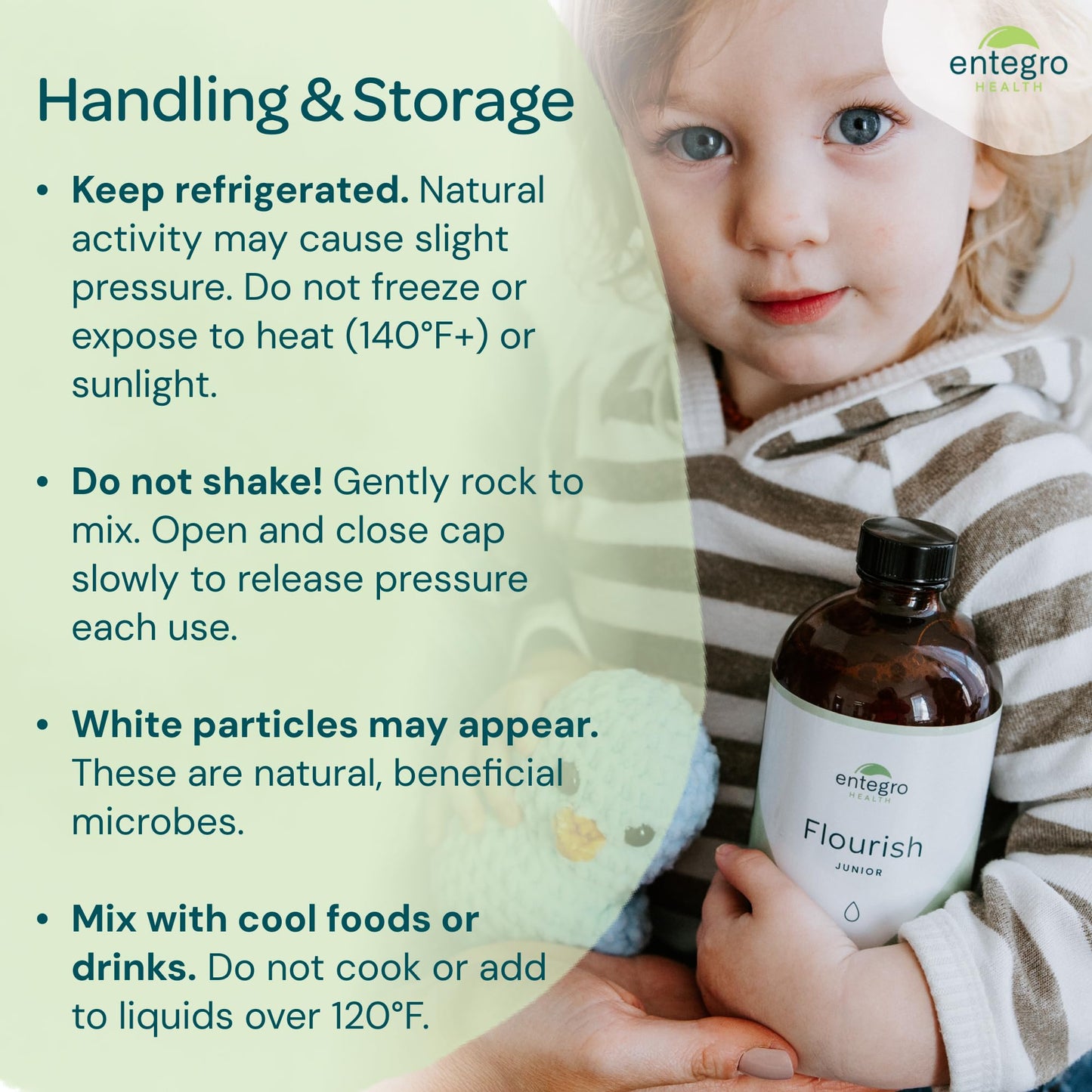ENTEGRO Flourish Junior Liquid Probiotic & Postbiotic Supplement - Glass | 11 Live Cultures | Gut & Digestive Health for Women, Men & Kids | Organic, Vegan, Allergen Free | USA Made | 16 fl oz - Maple Wellness Supplements