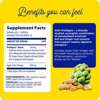 Enzymedica Gut Motility Supplement for Men & Women - Apple Cider Vinegar Capsules with Artichoke & Ginger Extract, Digestive Health Support for Adults - Maple Wellness Supplements
