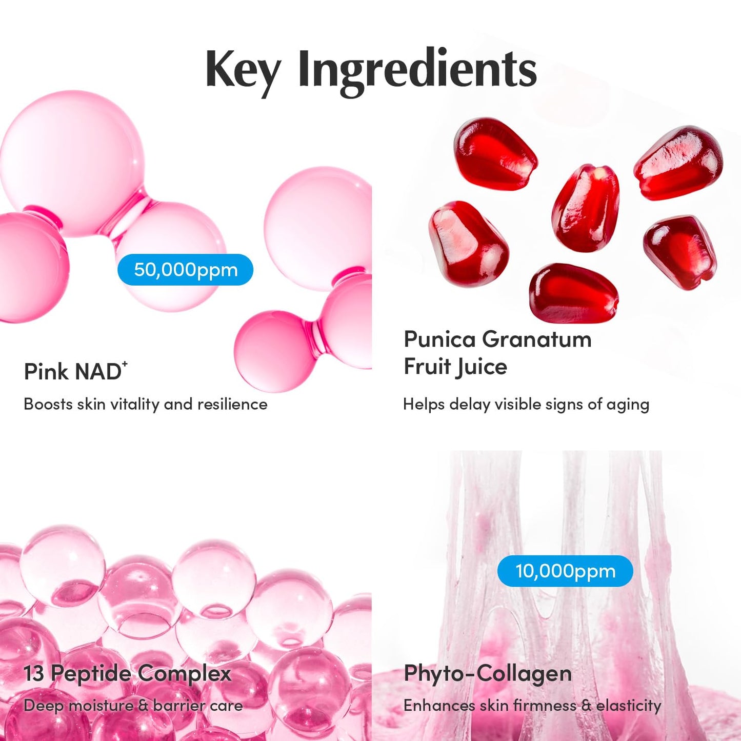 EQQUALBERRY NAD+ Peptide Boosting Cream – NAD+ 5% & 13 Peptides Anti-Aging Face & Body Cream - Maple Wellness Supplements