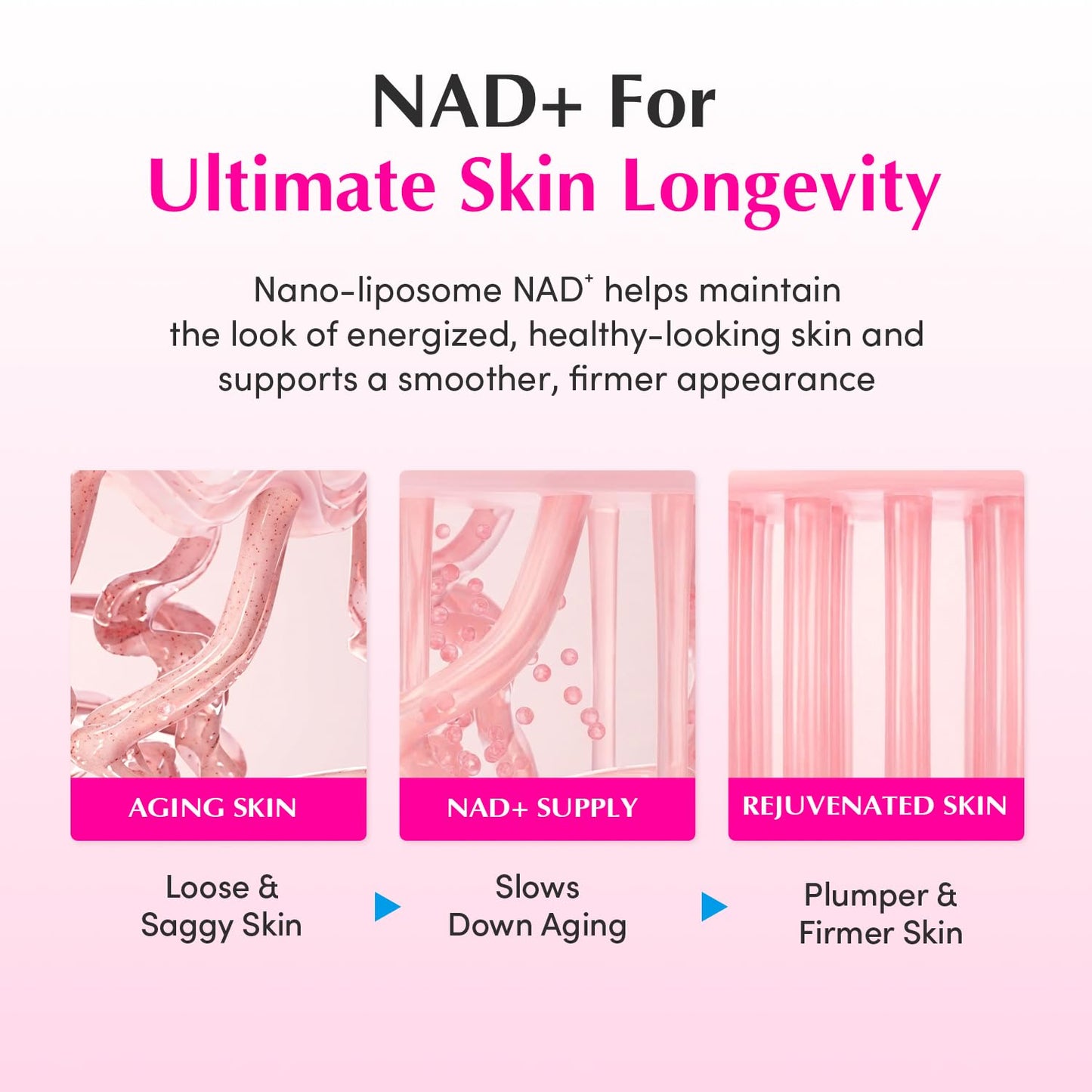 EQQUALBERRY NAD+ Peptide Boosting Cream – NAD+ 5% & 13 Peptides Anti-Aging Face & Body Cream - Maple Wellness Supplements