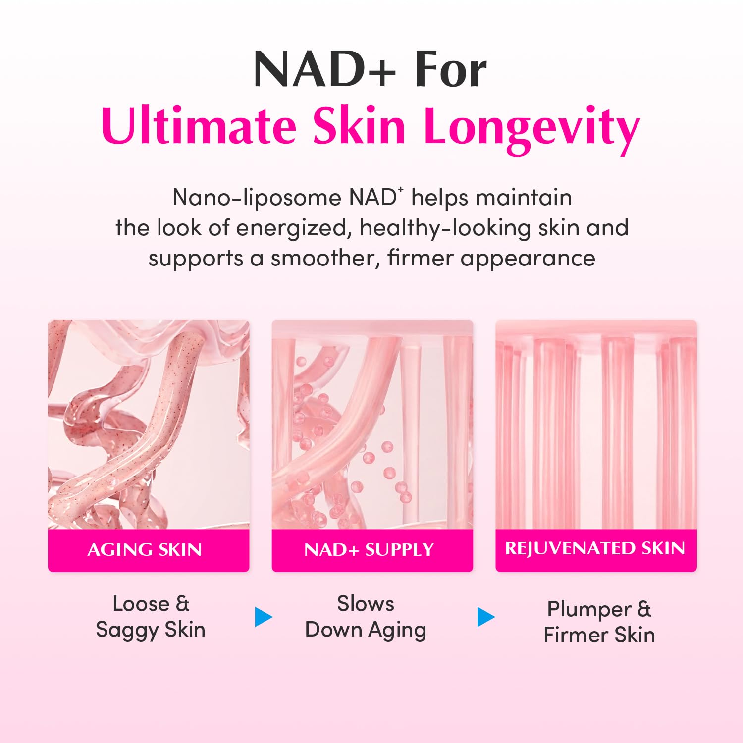 EQQUALBERRY NAD+ Peptide Boosting Cream – NAD+ 5% & 13 Peptides Anti-Aging Face & Body Cream - Maple Wellness Supplements