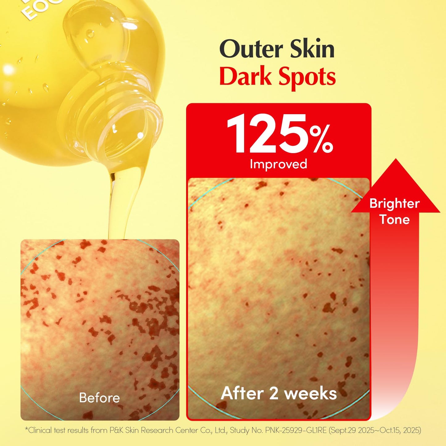 EQQUALBERRY Vitamin Illuminating Toner - Brightening Vitamin C & Niacinamide 3% - Maple Wellness Supplements