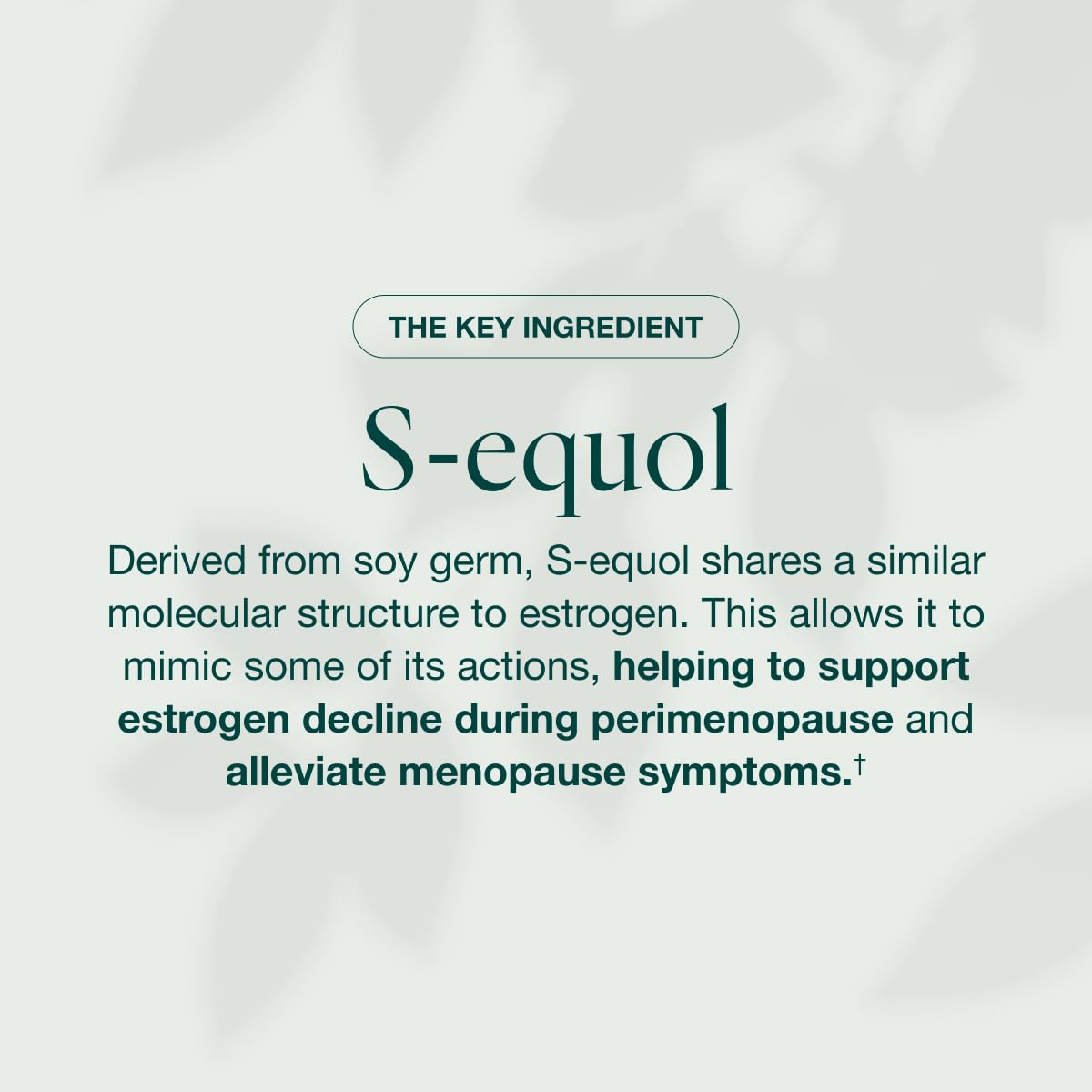 EQUELLE Multi-Symptom Perimenopause & Menopause Relief Relief from Hot Flashes, Muscle Aches & Supports More Sleep. Hormone-Free, Plant-Based S-Equol – 1 Month Supply (60 Tablets) - Maple Wellness Supplements