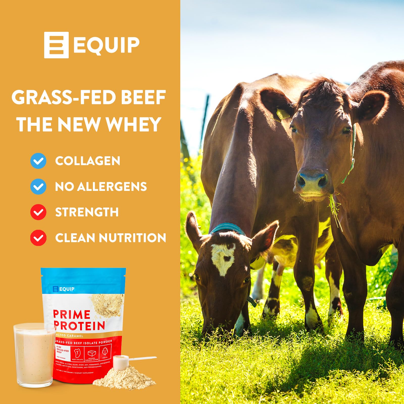 Equip Foods Prime Protein - Grass Fed Beef Protein Powder Isolate - Paleo and Keto - Maple Wellness Supplements