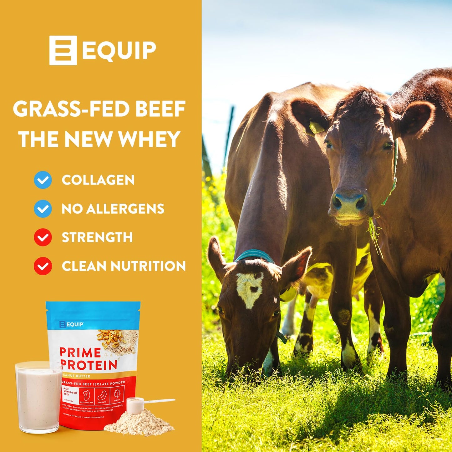 Equip Foods Prime Protein - Grass Fed Beef Protein Powder Isolate - Paleo and Keto Friendly - Maple Wellness Supplements