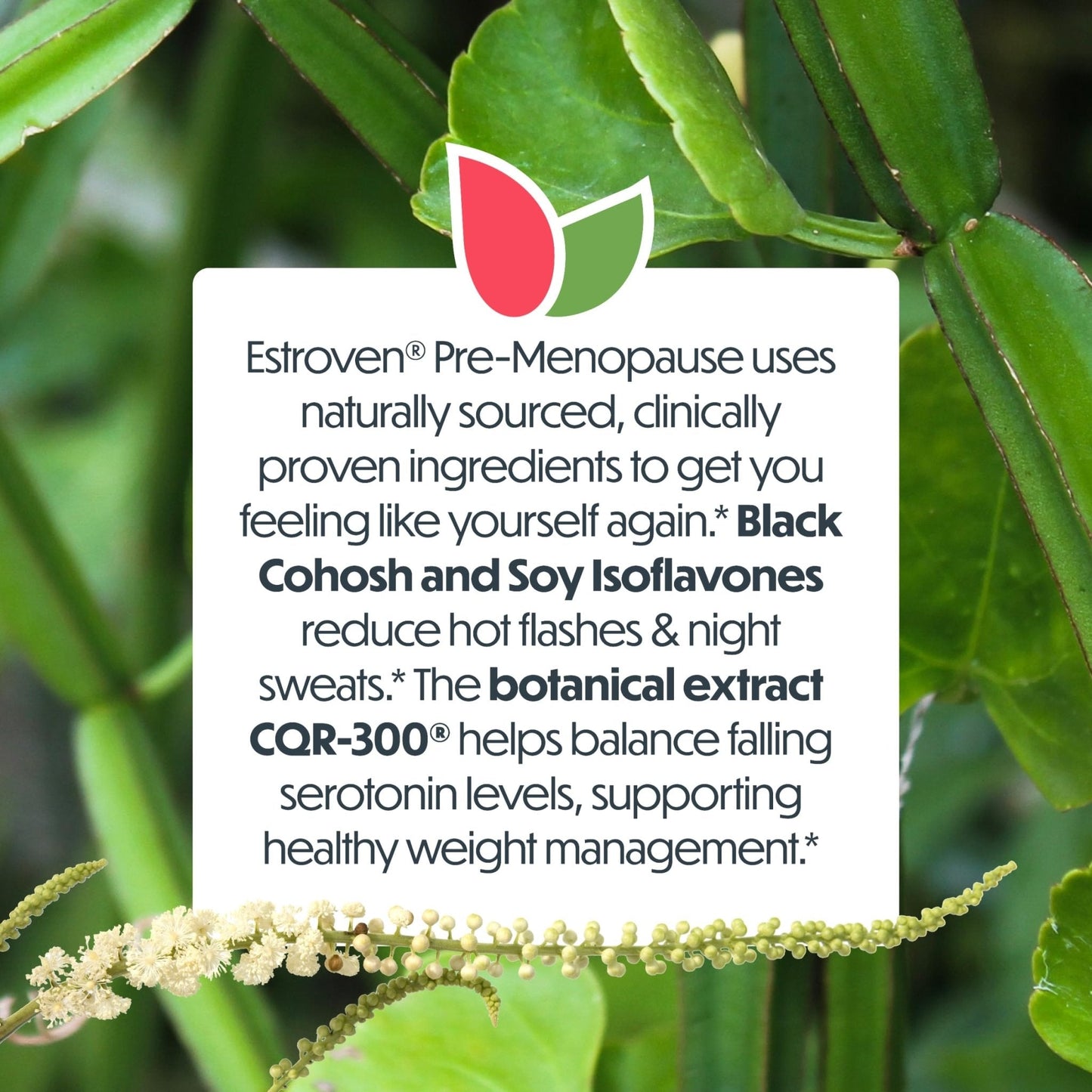 Estroven Pre-Menopause Relief, 30 Ct., Clinically Proven Ingredients, Provides Menopause Relief plus Night Sweats & Hot Flash Relief, Drug-Free or Estrogen Free - Maple Wellness Supplements