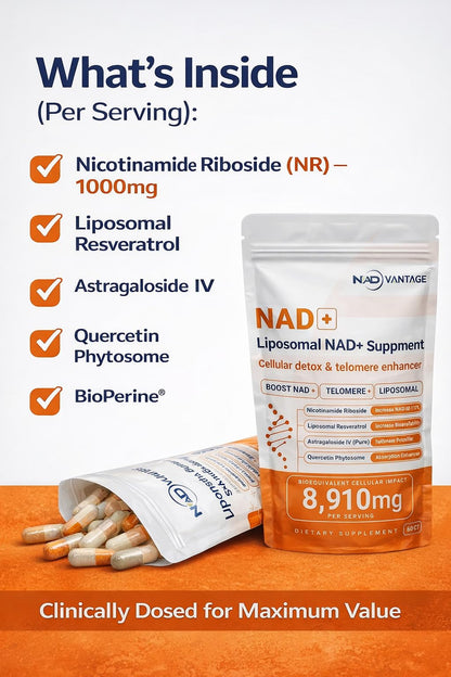 Eternaroot NAD+ 5D Matrix - High Potency NAD Precursor - 1000mg Nicotinamide Riboside (NR) + Liposomal Resveratrol - Clean Vegan Formula - Cellular Energy & Immune Support - Maple Wellness Supplements