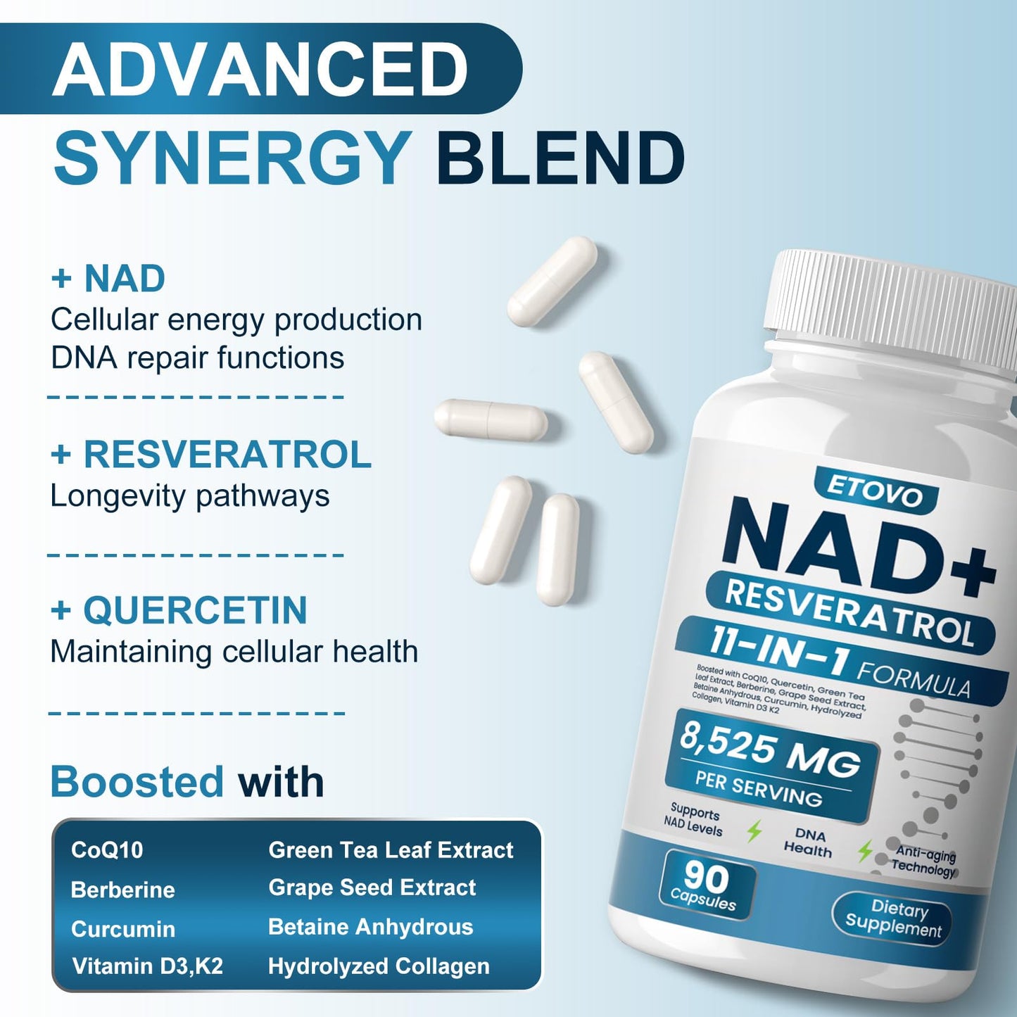 ETOVO NAD+ Supplement, 8525 mg Liposomal NAD Resveratrol Supplement for Women and Men with Coptisine Quercetin Curcumin Supports Cellular Health, Energy & Healthy Anti-Aging 180 Counts - Maple Wellness Supplements