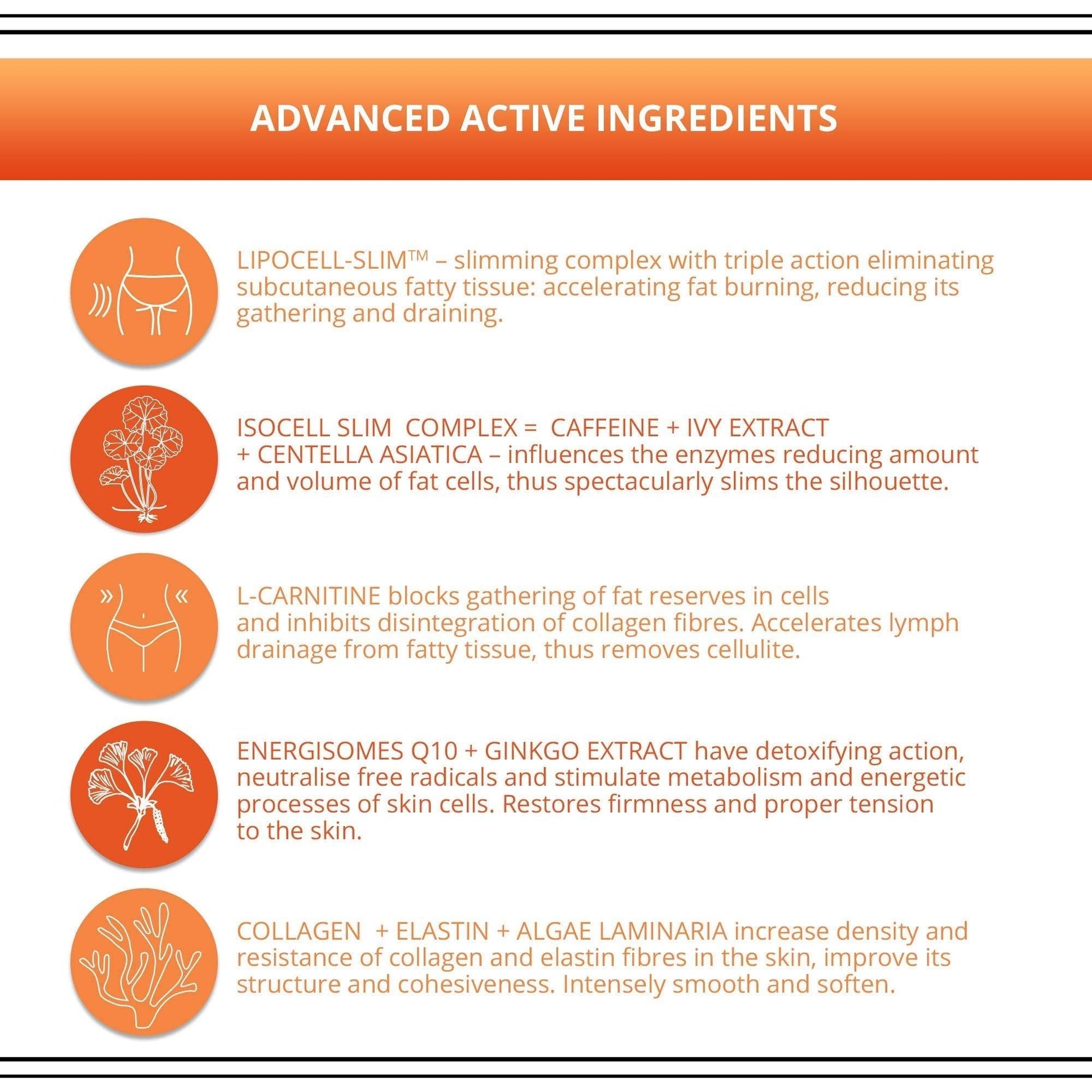 Eveline Slim Extreme 4D Liposuction Body Serum, 8.80 Fluid Ounce - Maple Wellness Supplements
