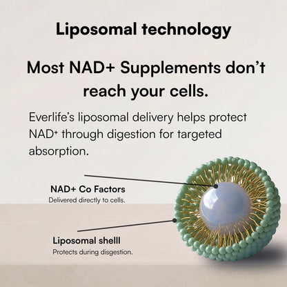 Everlife Liposomal NAD+ Liquid Supplement – 150mg Shot with Liposomal Trans-Resveratrol, TMG & Glycine – Boosts Energy, Cellular Repair, Healthy Aging & Longevity – NMNH Alternative – 30 Servings - Maple Wellness Supplements