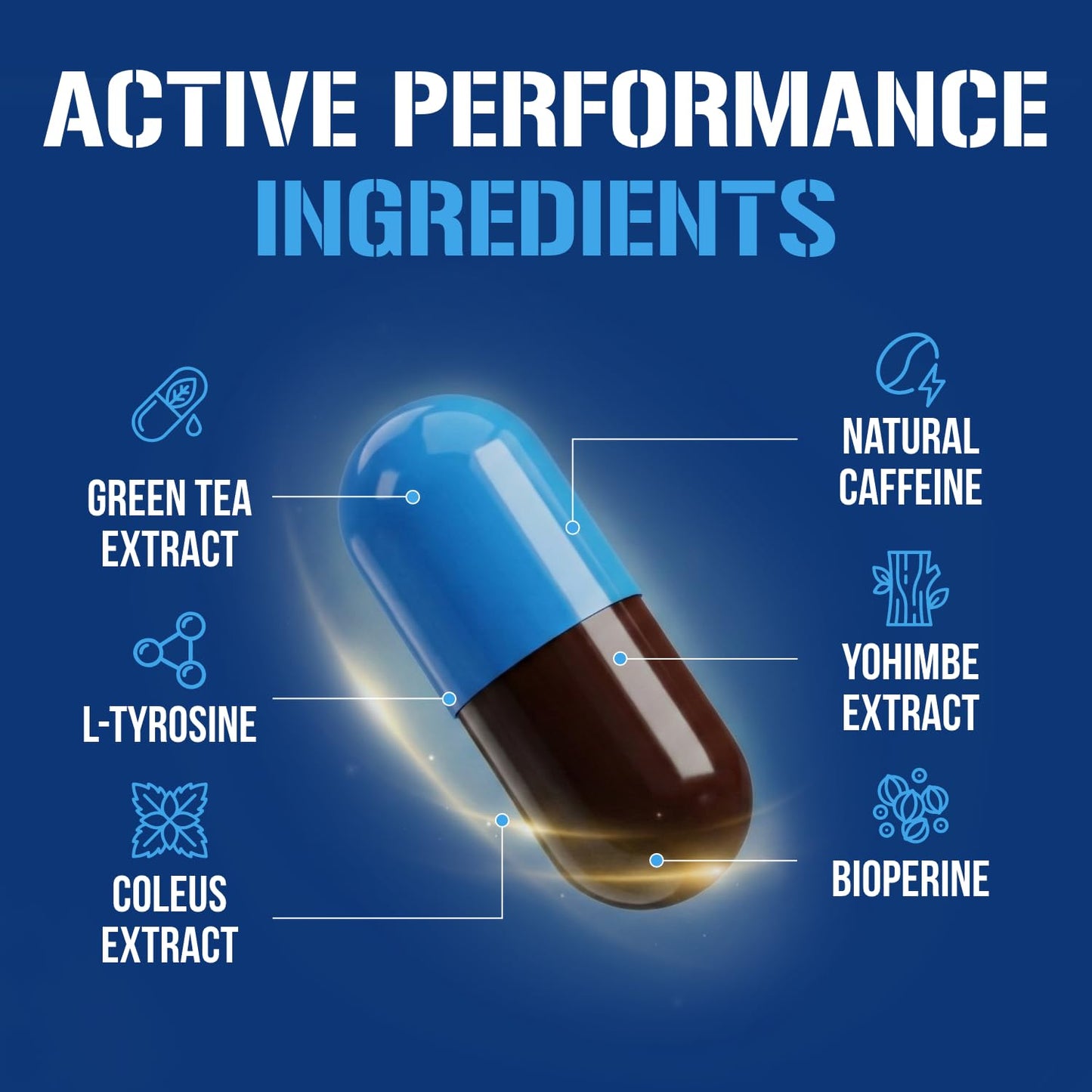 EVL Thermogenic Fat Burner Support - Fast Acting Weight Loss Energy and Appetite Support - Trans4orm Green Tea Supplement - Maple Wellness Supplements