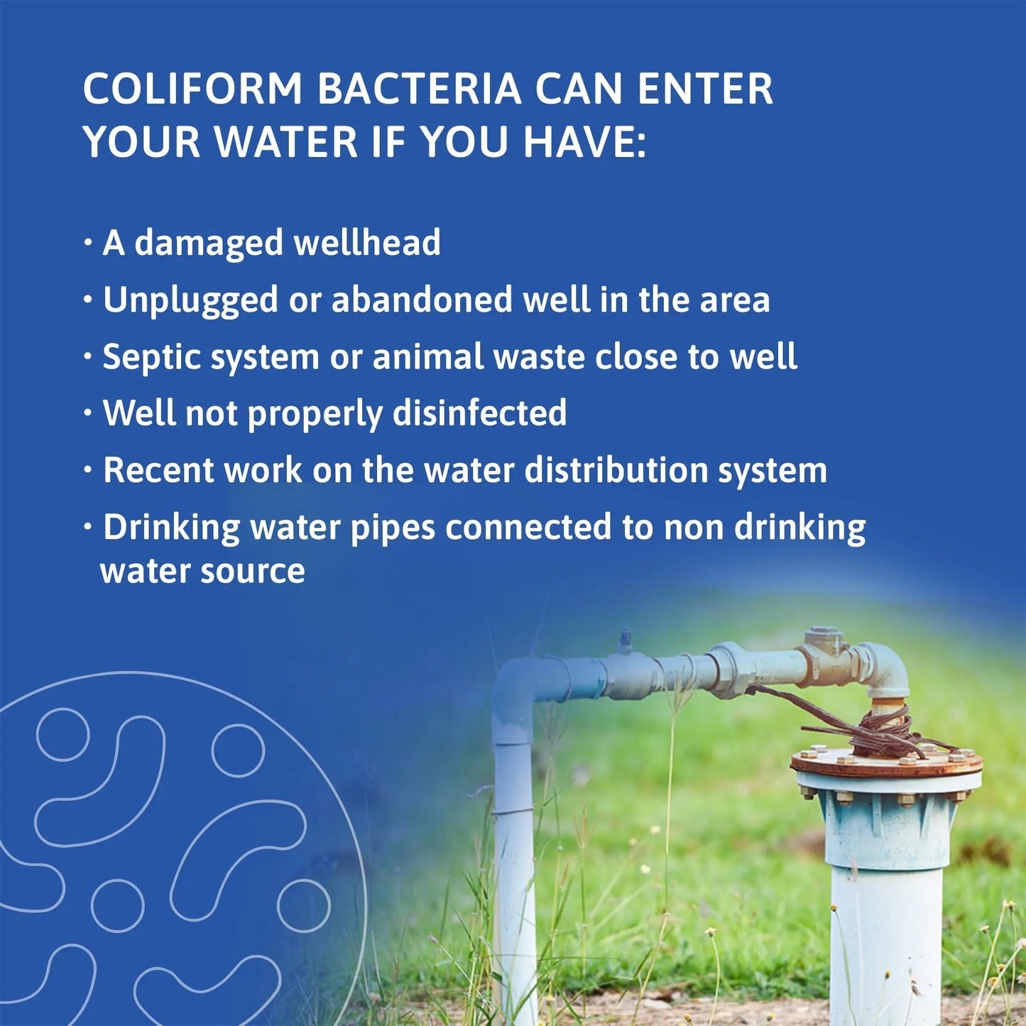 Exploro® Bacteria Water Test Kit, Pond Water Test Kit, Pool Water Testing Kit, Water Testing Kits for Drinking Water for Coliform (E. coli), EPA Approved Pool Test Kit (1 Pack) - Maple Wellness Supplements