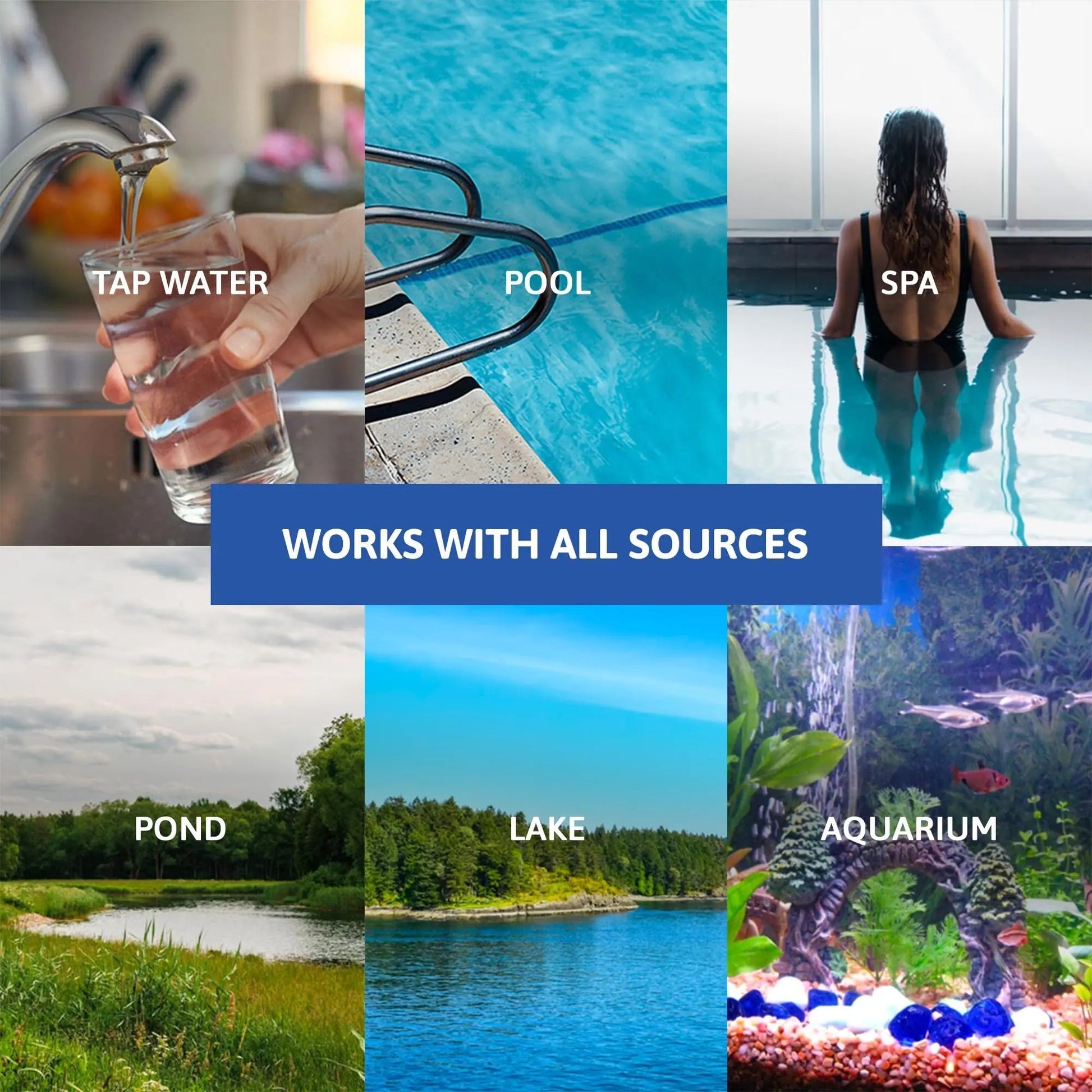 Exploro® Bacteria Water Test Kit, Pond Water Test Kit, Pool Water Testing Kit, Water Testing Kits for Drinking Water for Coliform (E. coli), EPA Approved Pool Test Kit (1 Pack) - Maple Wellness Supplements