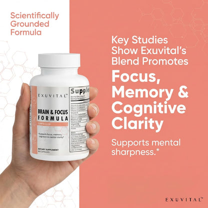 EXUVITAL Brain & Focus Formula, Veggie Capsules, 60 Count, Nootropic Supplement with Vitamins, Minerals and Proprietary Blend for Clarity, Memory, Cognition and Mental Focus - Maple Wellness Supplements