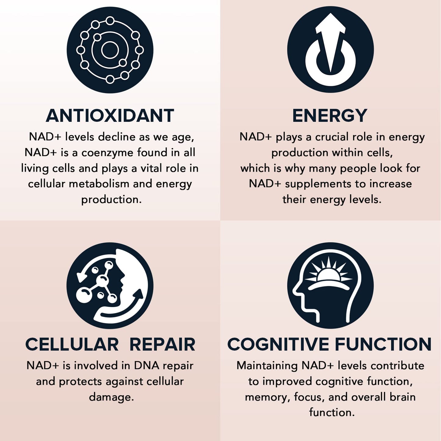 Fabamax 1600 mg Liposomal NAD Supplement, 98% Pure NAD+ Supplement, Superior Absorption, Alternative to Nicotinamide Riboside or NADH to Boost NAD+ for Aging Defense, Energy, Longevity, 120 Softgels - Maple Wellness Supplements