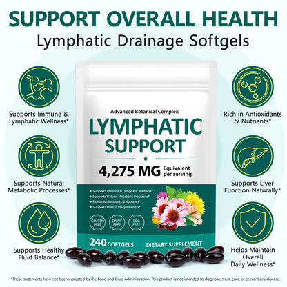 FANSHI Lymphatic Drainage Supplements 240 Softgels | Herbal Blend with Echinacea, Dandelion & Burdock Root | Promotes Healthy Circulation & Fluid Balance | Supports Overall Daily Wellness - Maple Wellness Supplements