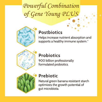 Fecula Biotech Superfood Resistant Starch,Prebiotics Supplement,Bifidobacterium longum - Maple Wellness Supplements