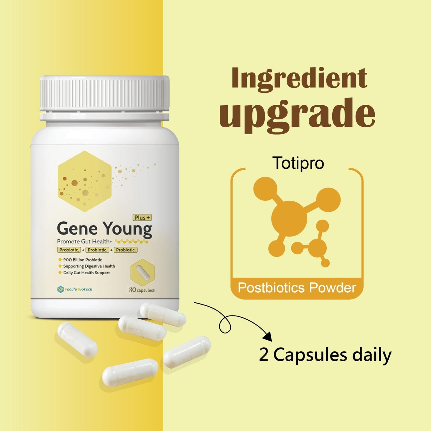 Fecula Biotech Synbiotic for Gut Health | 3-in-1 Daily Prebiotic, Probiotic, Postbiotic for Digestive Health, Bloat & Immune Support - Maple Wellness Supplements