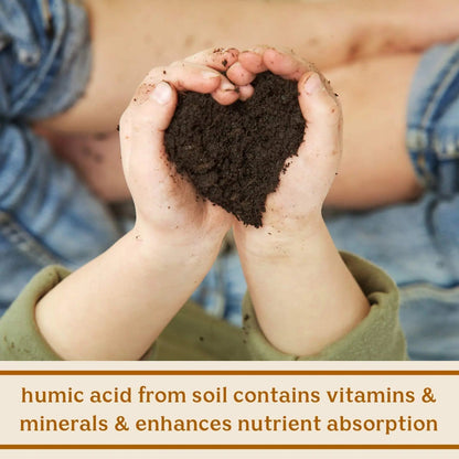 Feel Good SBO Probiotics — Soil Based Organisms (SBOs), Prebiotics, Postbiotics, Humic Acid, Shilajit, Chaga & Turkey Tail Mushroom for Digestion — Solluna by Kimberly Snyder (60CT) Vegan & Non-GMO - Maple Wellness Supplements
