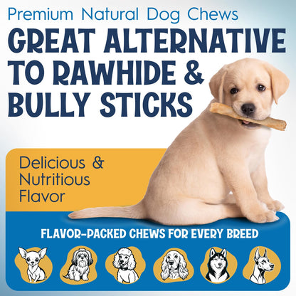 FETCHERONI 6" Collagen Sticks for Dogs – Low Odor Long-Lasting Bully Stick & Rawhide Alternative, Single Ingredient Beef Bone, High Protein Dental Treat, Vet Approved, Improves Joint Health – 5 Pack - Maple Wellness Supplements