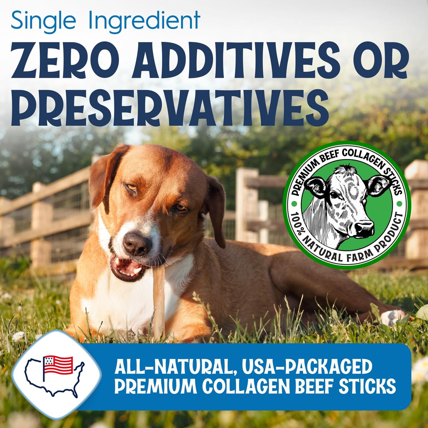 FETCHERONI 6" Collagen Sticks for Dogs – Low Odor Long-Lasting Bully Stick & Rawhide Alternative, Single Ingredient Beef Bone, High Protein Dental Treat, Vet Approved, Improves Joint Health – 5 Pack - Maple Wellness Supplements