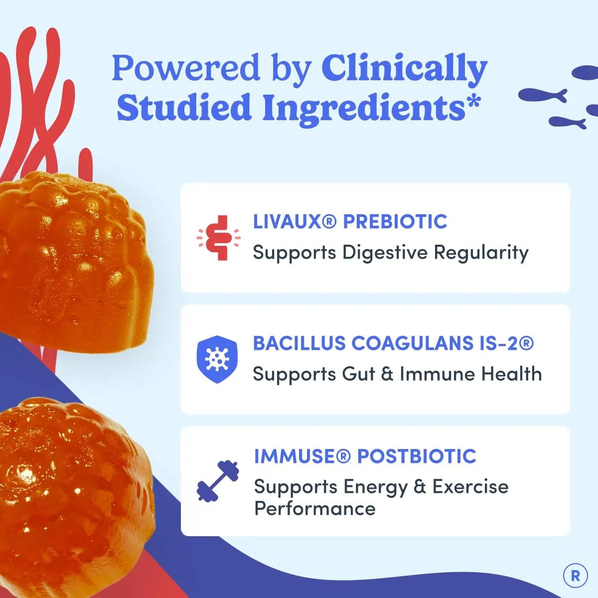 FIRST DAY 3 in 1 Probiotics for Men - Prebiotic, Probiotic & Postbiotic Supplement – Mens Probiotic for Digestive Health, Oral Health, Immune Function, Energy, Gut Health for Men – 30-Day Supply - Maple Wellness Supplements