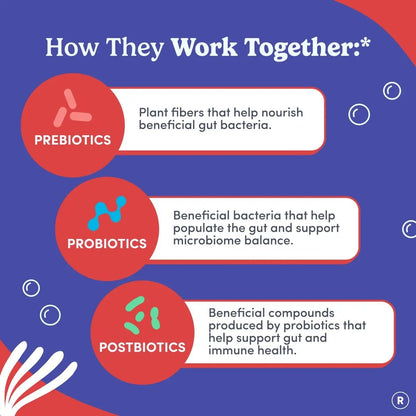 FIRST DAY 3 in 1 Probiotics for Men - Prebiotic, Probiotic & Postbiotic Supplement – Mens Probiotic for Digestive Health, Oral Health, Immune Function, Energy, Gut Health for Men – 30-Day Supply - Maple Wellness Supplements