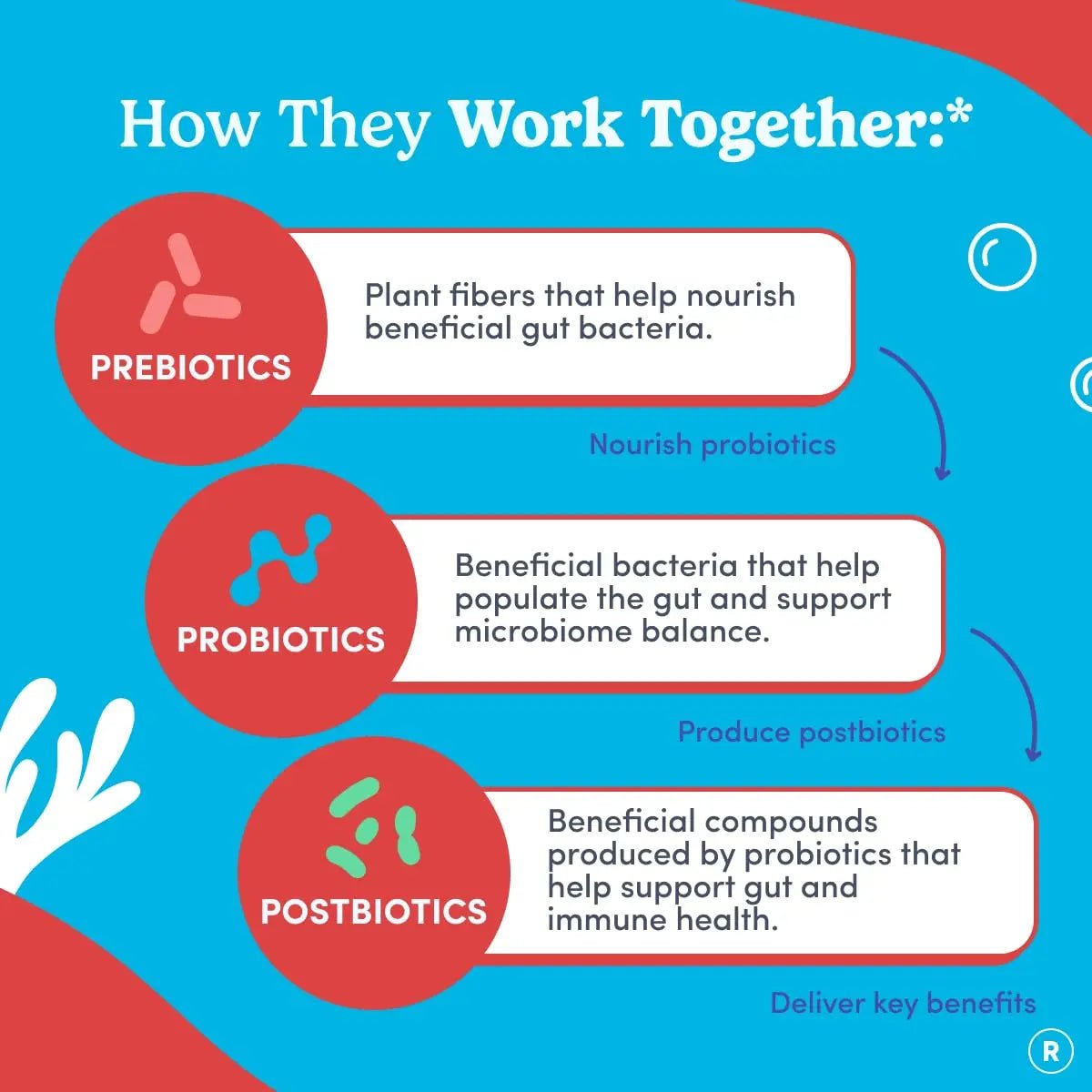 FIRST DAY Teens’ Gut Sustainer Tribiotic Gummies – 3-in-1 Prebiotic, Probiotic & Postbiotic Supplement – Supports Digestive, Skin, Oral & Immune Health, Nutrient Absorption & Growth – 60-Day Supply - Maple Wellness Supplements