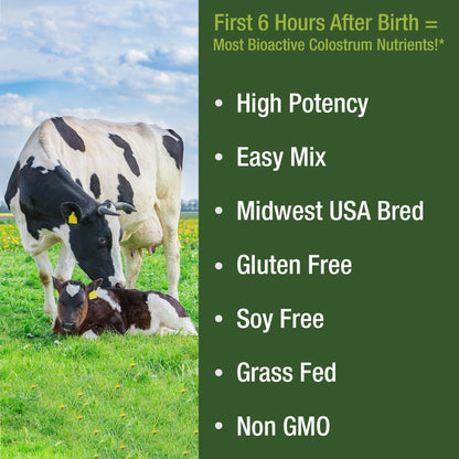 First Milking Colostrum Powder from Grass Fed USA Cows Milked Within 6 Hours of Giving Birth to Get the Most Bioactive Nutrients. High Immunoglobulin Non-GMO Bovine Colostrum Supplement for Humans - Maple Wellness Supplements