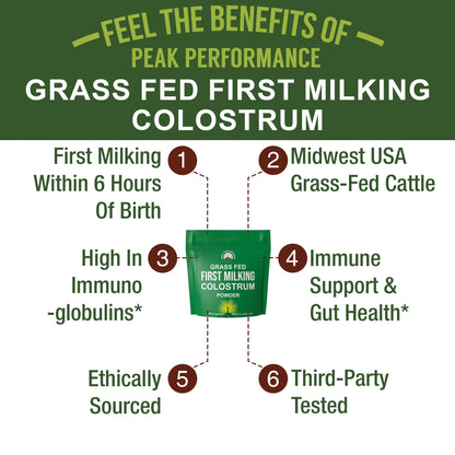 First Milking Colostrum Powder from Grass Fed USA Cows Milked Within 6 Hours of Giving Birth to Get the Most Bioactive Nutrients. High Immunoglobulin Non-GMO Bovine Colostrum Supplement for Humans - Maple Wellness Supplements