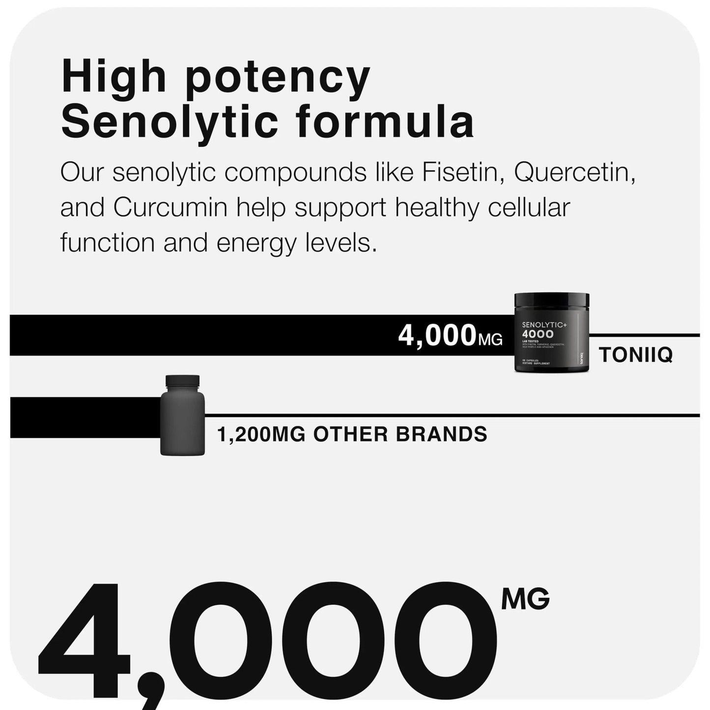 Fisetin Supplement – Senolytic Supplement Ultra High Potency 4,000mg with Quercetin, Curcumin 97%, Apigenin & Milk Thistle – High Strength Blend – Third-Party Lab Tested – 3 Month Supply - Maple Wellness Supplements