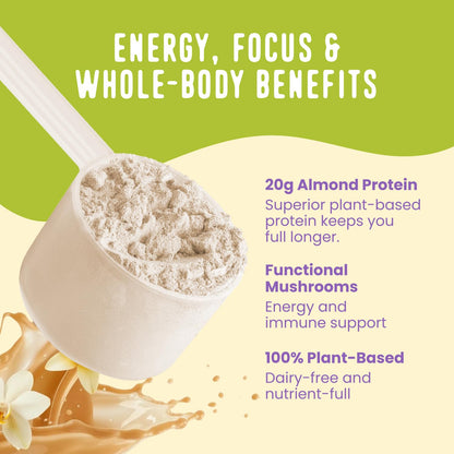 FlavCity Vegan Almond Protein Shake Powder, Vanilla Cream + Reishi & Cordyceps Mushrooms - Focus, Skin, Hair & Joint Support - Organic Fruit All in One Smoothie On-the-Go, 20 Servings - Maple Wellness Supplements