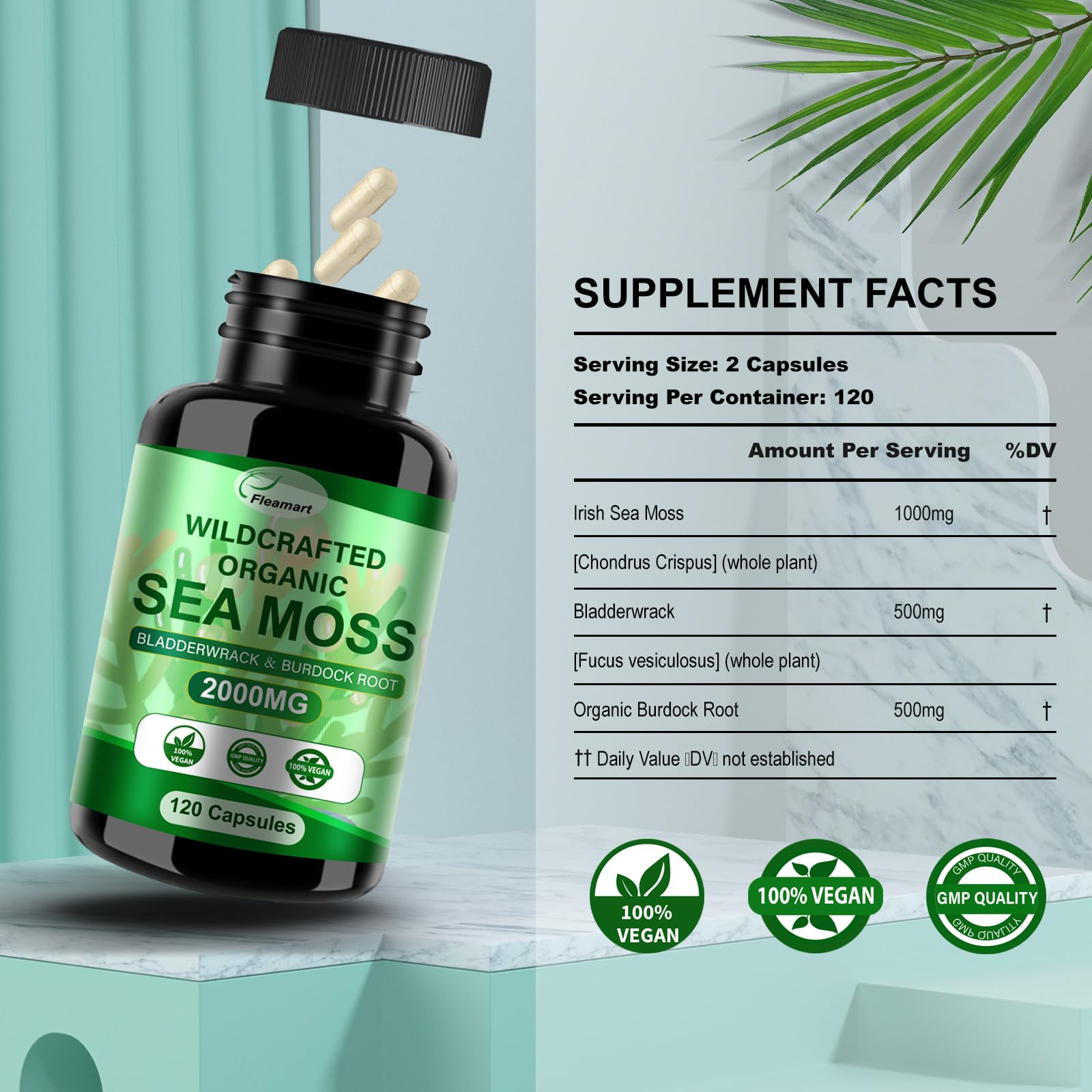 Fleamart Irish Sea Moss Capsules 120ct Raw Organic Sea Moss Wildcrafted Bladderwrack - Maple Wellness Supplements