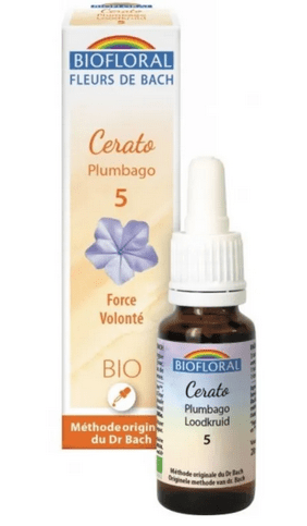 Fleur de Bach BIO Cerato (Plumbago) Flacon 20 ml BIOFLORAL - Maple Wellness Supplements