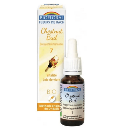Fleur de Bach BIO Chestnut Bud (Bourgeons maronnier) Flacon 20 ml BIOFLORAL - Maple Wellness Supplements