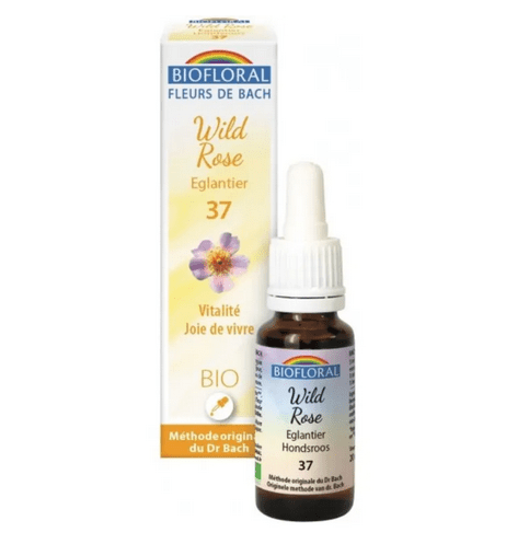 Fleur de Bach BIO Wild rose (Églantier) Flacon 20 ml BIOFLORAL - Maple Wellness Supplements