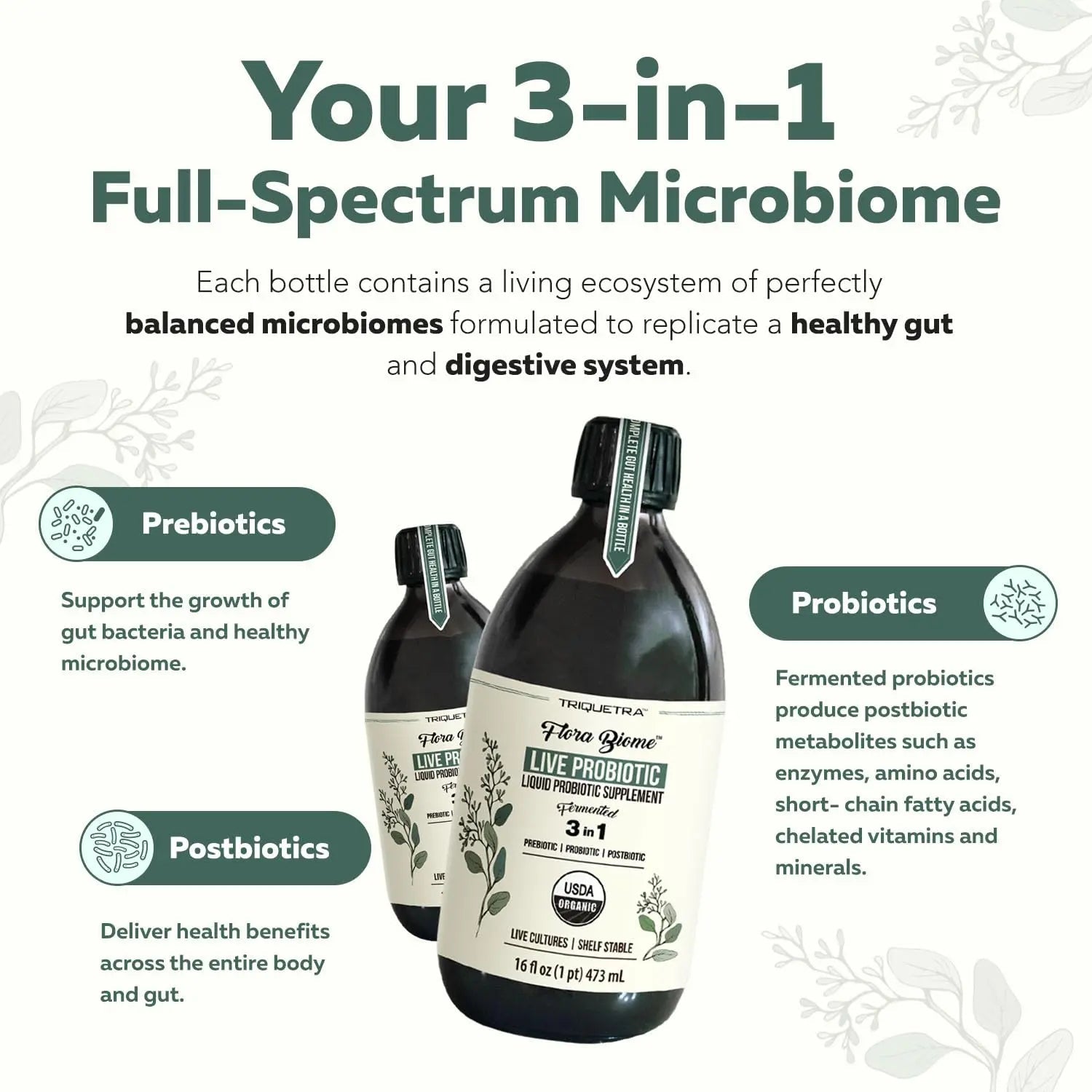 Flora Biome - Live Probiotic, Prebiotic, & Postbiotic – Organic Live-Culture – 10 Probiotic Strains, 18 Fermented Herbs - Complete Gut Health & Microbiome Optimizer (16 oz) - Maple Wellness Supplements