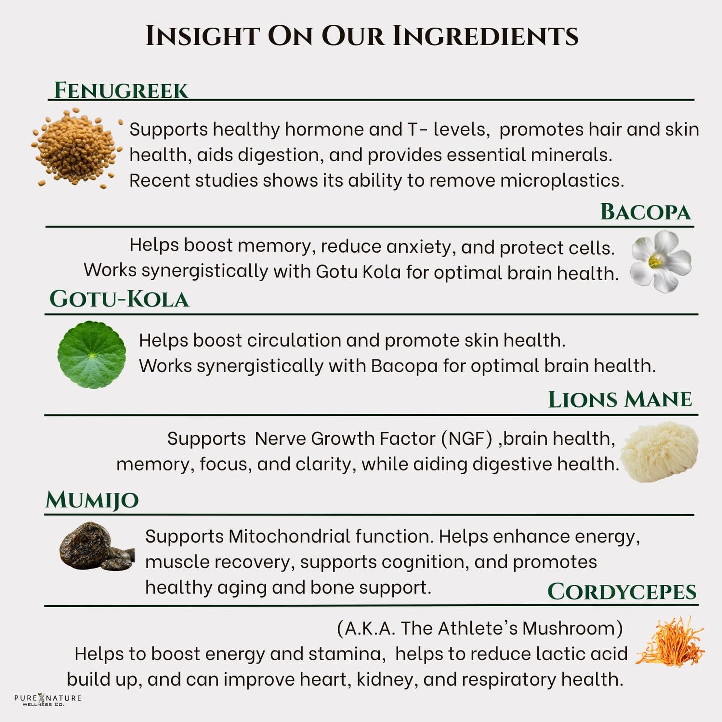 Focus + Energy + Performance Support-6-in-1 Mushroom Nootropic & Mitochondrial Complex-Advanced Brain Supplement-Natural Energy-Caffeine Free Biohack with Lion’s Mane,Cordyceps,Mumijo,Fenugreek - Maple Wellness Supplements